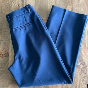 Aritzia Babaton pleated Trouser